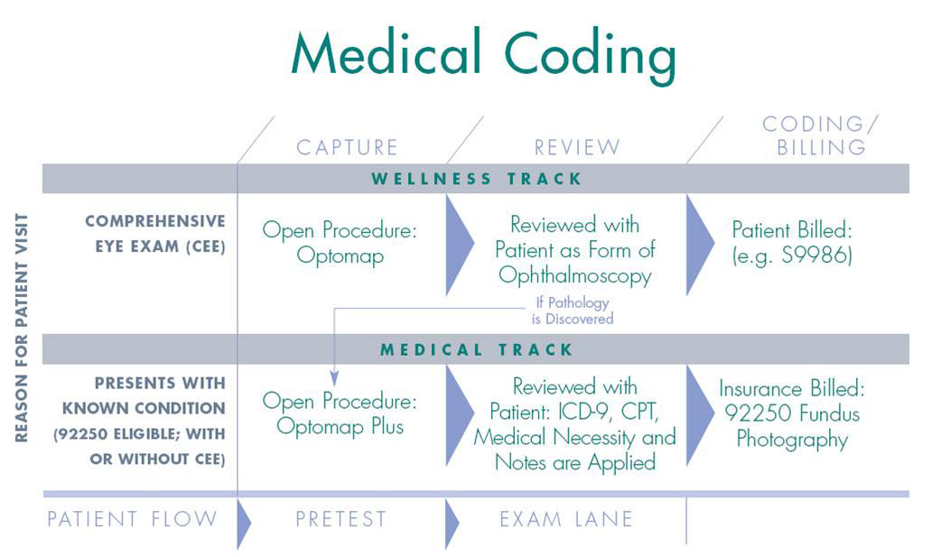 medical-coding-procare-rcm